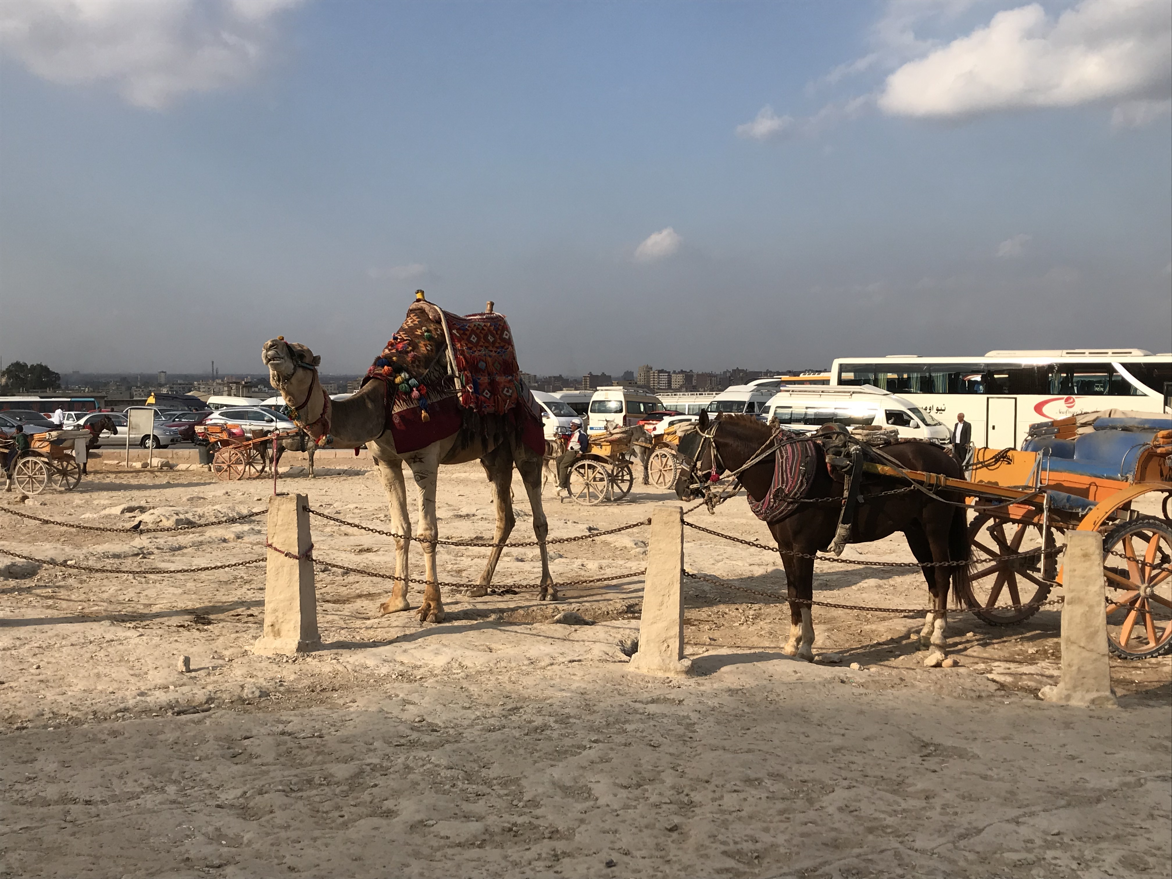 ./2018/16 - Egypt/03 - Pyramids/IMG_0809.jpg